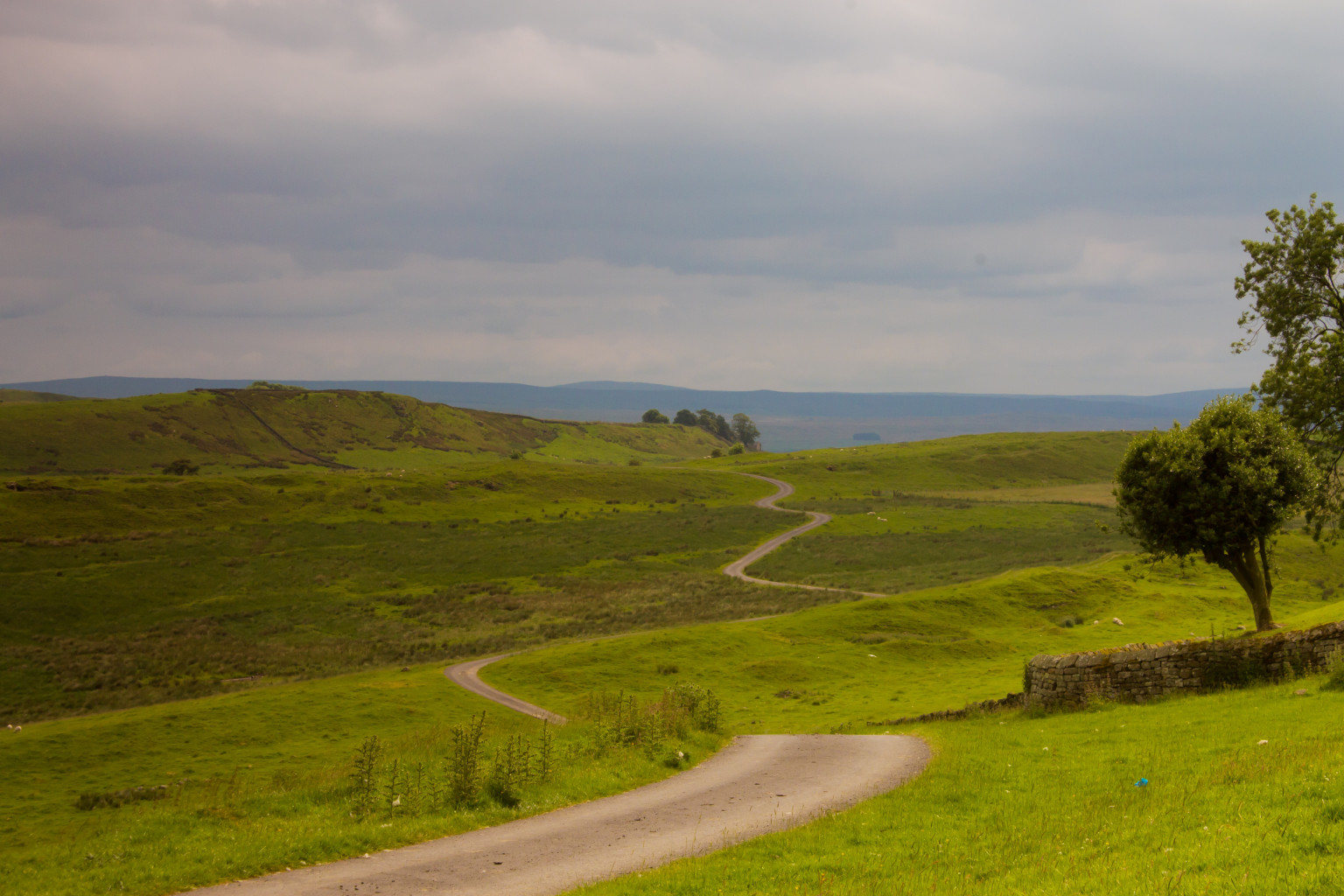 Wednesday Hadrians Wall Ian Scott Net