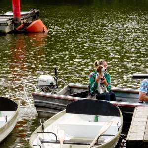 Dog In Boat