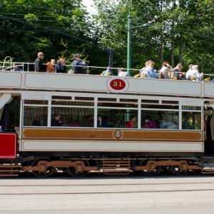 Tram 31