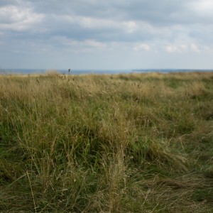 Across The Headland