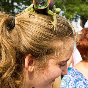 Nice Fascinator