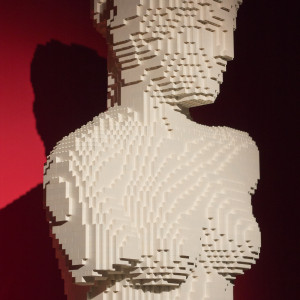 Venus in Bricks