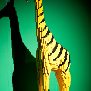 Tiger Giraffe