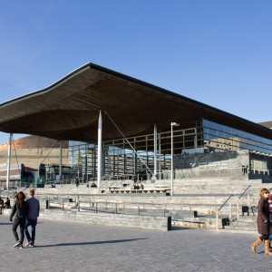 Senedd