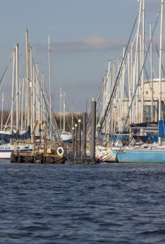 At the mouth of the river