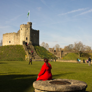 Admiring The Castle