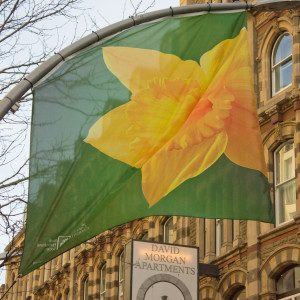 Daffodil Flag