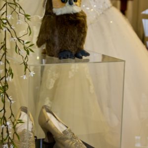 Hoot Gets Married