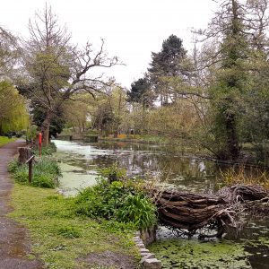 Lake View