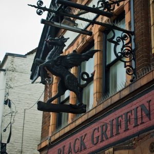 Black Griffin
