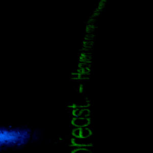 Glowing Text