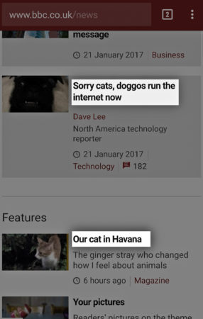 A silly screenshot from the BBC news website
