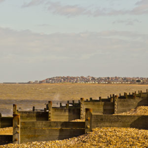 Beach View