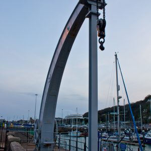 Swan Neck Crane