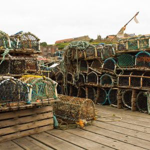 Lobster Pots