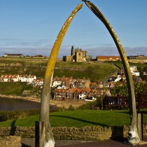 Through The Arch