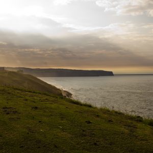 Sunbeam Shore