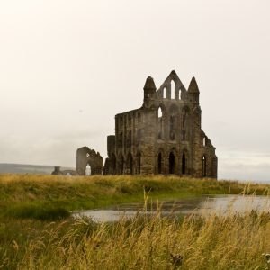 Fish Pond and Abbey