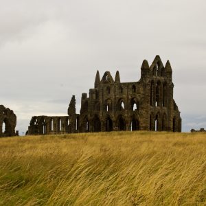 Grassy Abbey