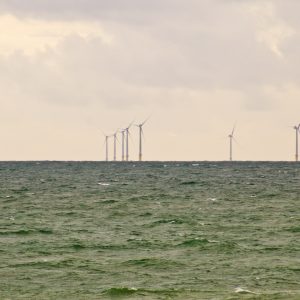 Sea Turbines