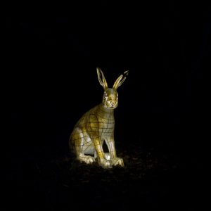Hare Tonight