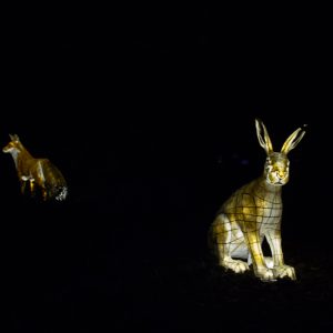 Bright Hare and Fox