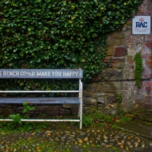This Bench Could Make You Happy