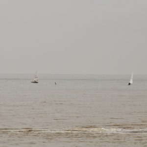 The Sail Boats