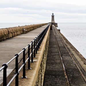 The Tracks To The Lighthouse