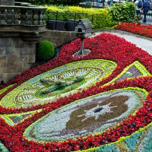 Flower Clock