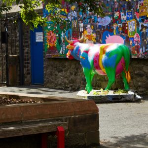 Colourful Cow