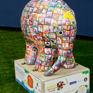 The People’s Elmer