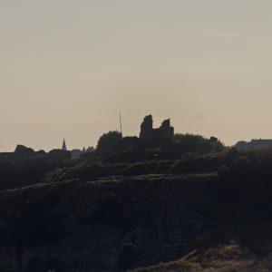 Distant Castle