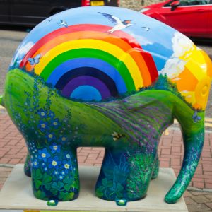 Rainbow Elmer