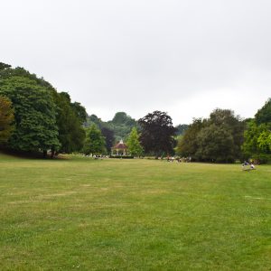 View Down The Park