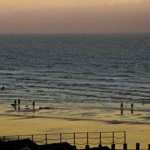 Evening Swimmers