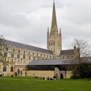 A Cathedral View