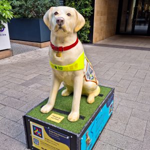 A Guide Dog