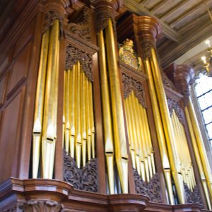 Organ