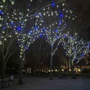 Pretty Trees