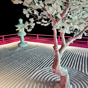 Tree And Sand