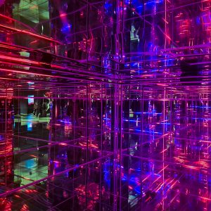 Into The Matrix