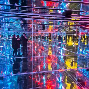 Lost In The Future Matrix