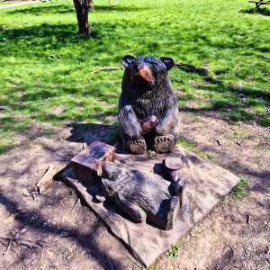 Bears