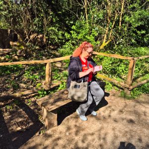 Consulting On The Bird Song