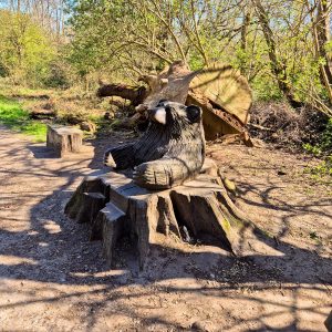 Bear Seat