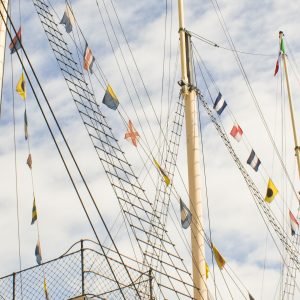 All The Flags
