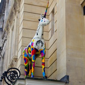 Colourful Unicorn