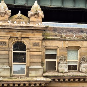 20250726T093741_banner