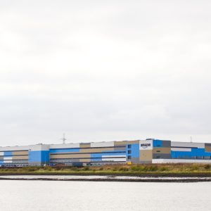 All Your Amazon Stuff